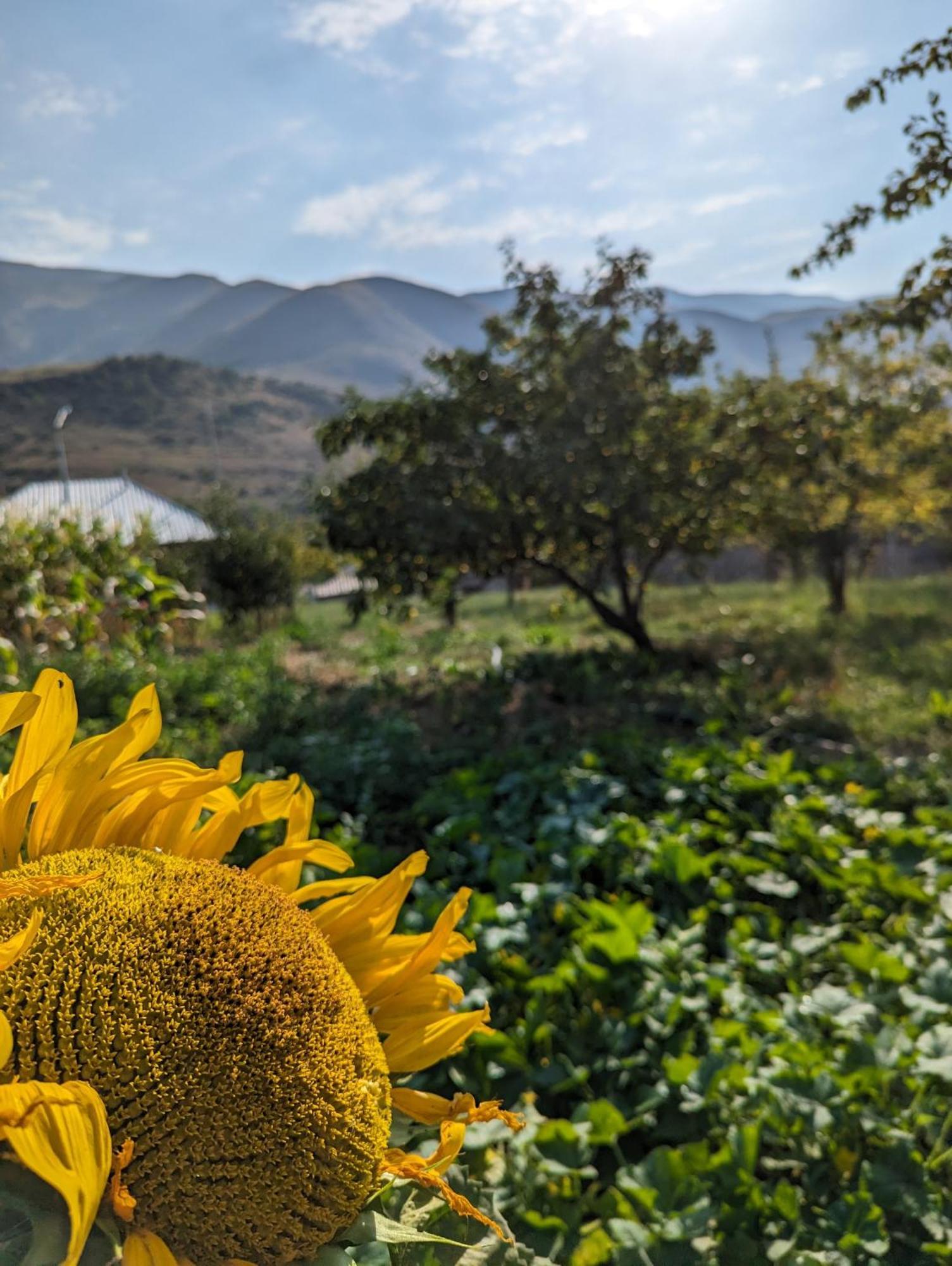 Sofia Otel Vardzia  Dış mekan fotoğraf